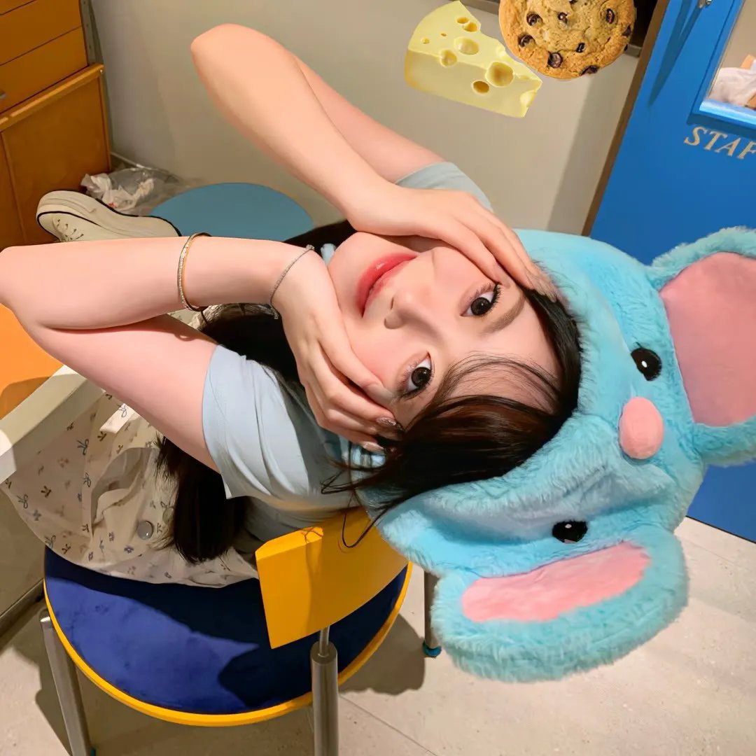 迷蝶